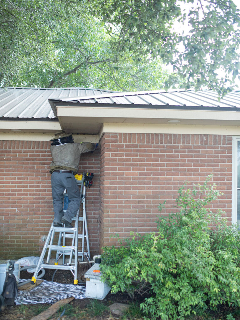 Texas Beekeeper looking at bees inside a home