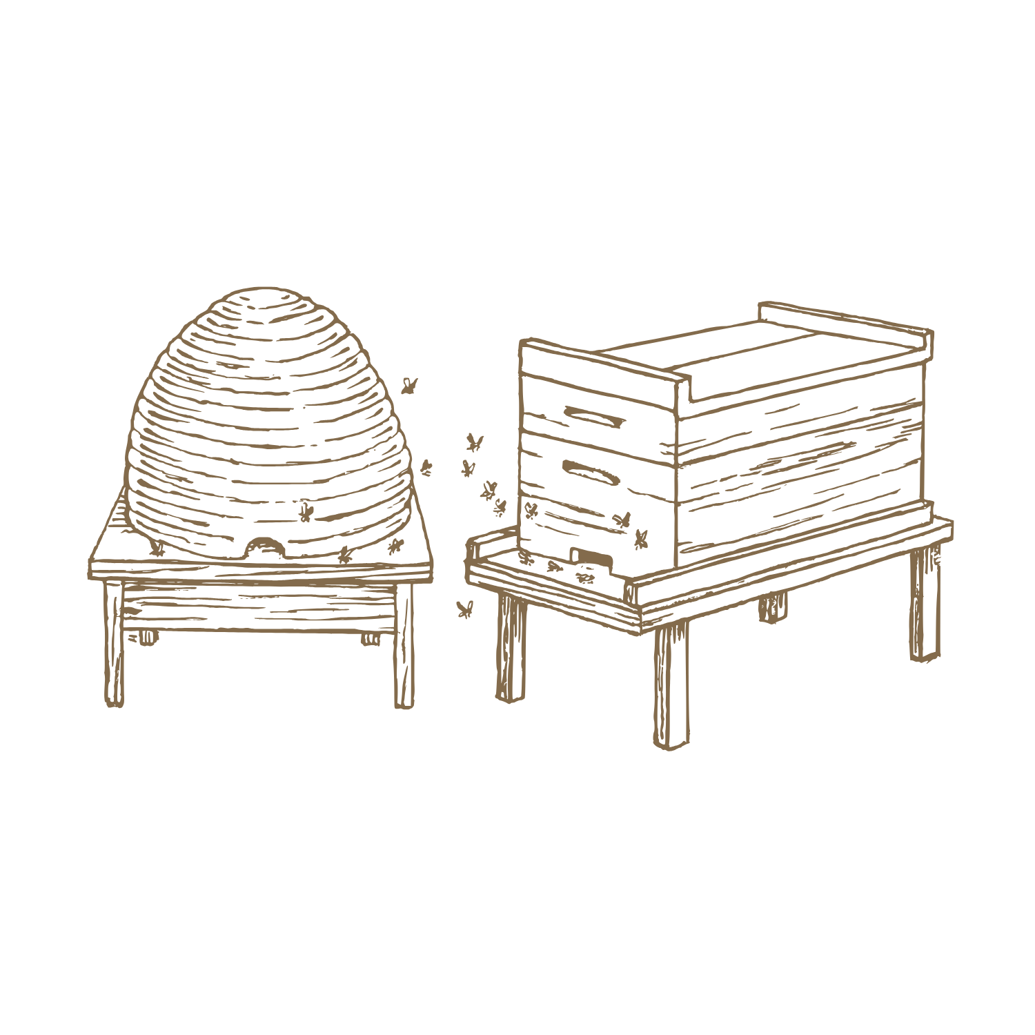 Beehive icon for beeclasses