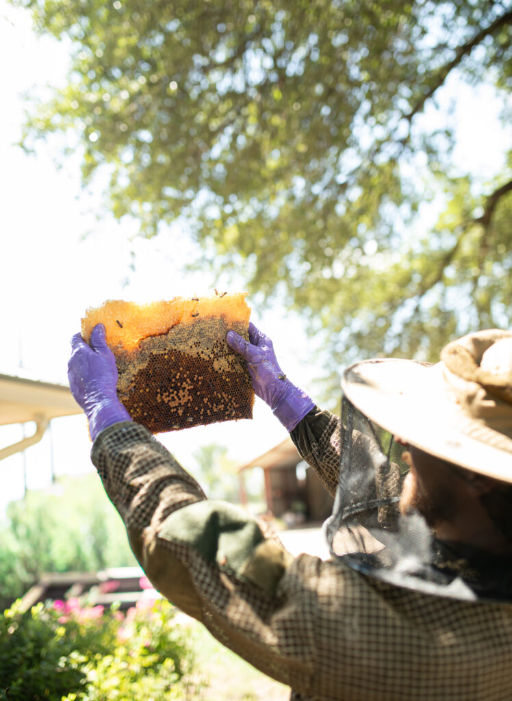 Ben holding a bee frame