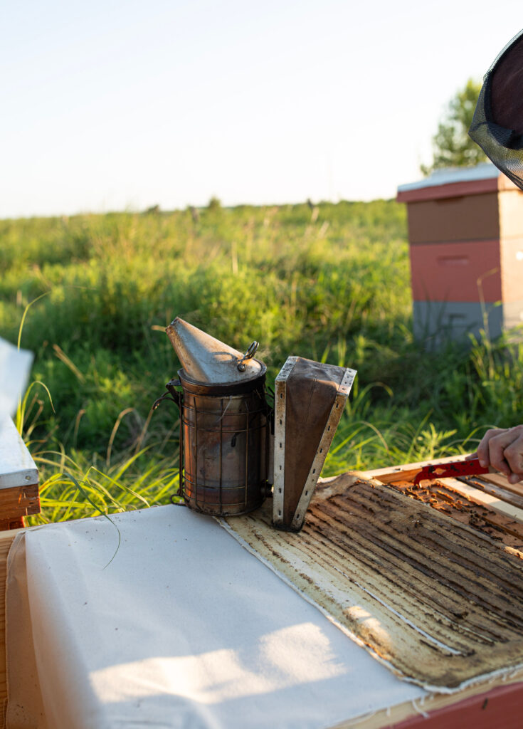 Essential treatment-free beekeeping supplies including protective gear and natural hive tools