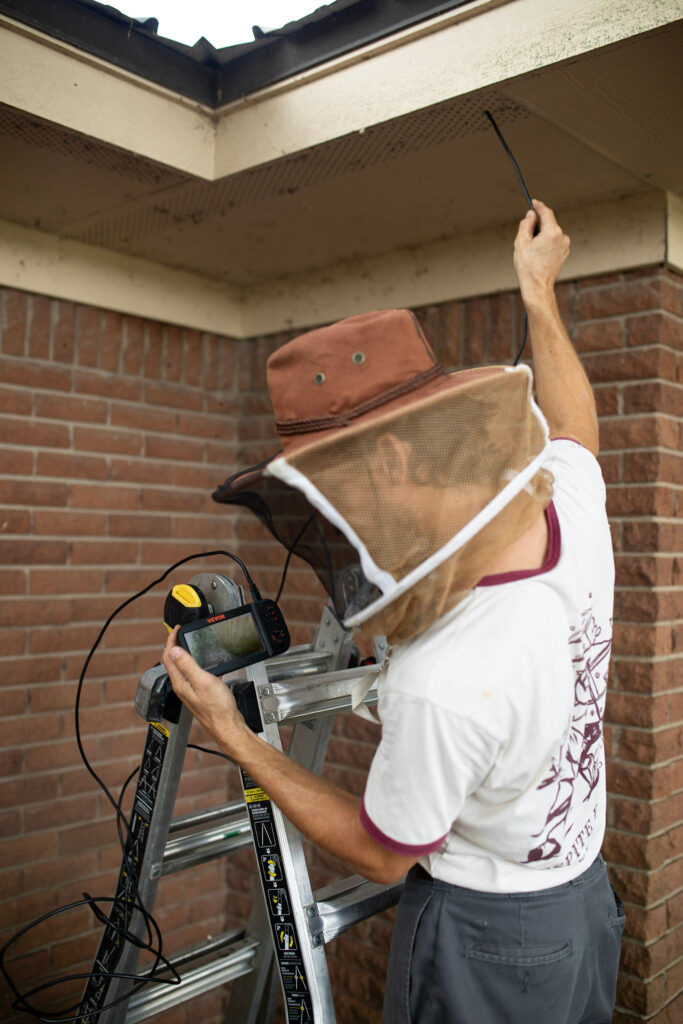 Safety equipment used for professional bee removal