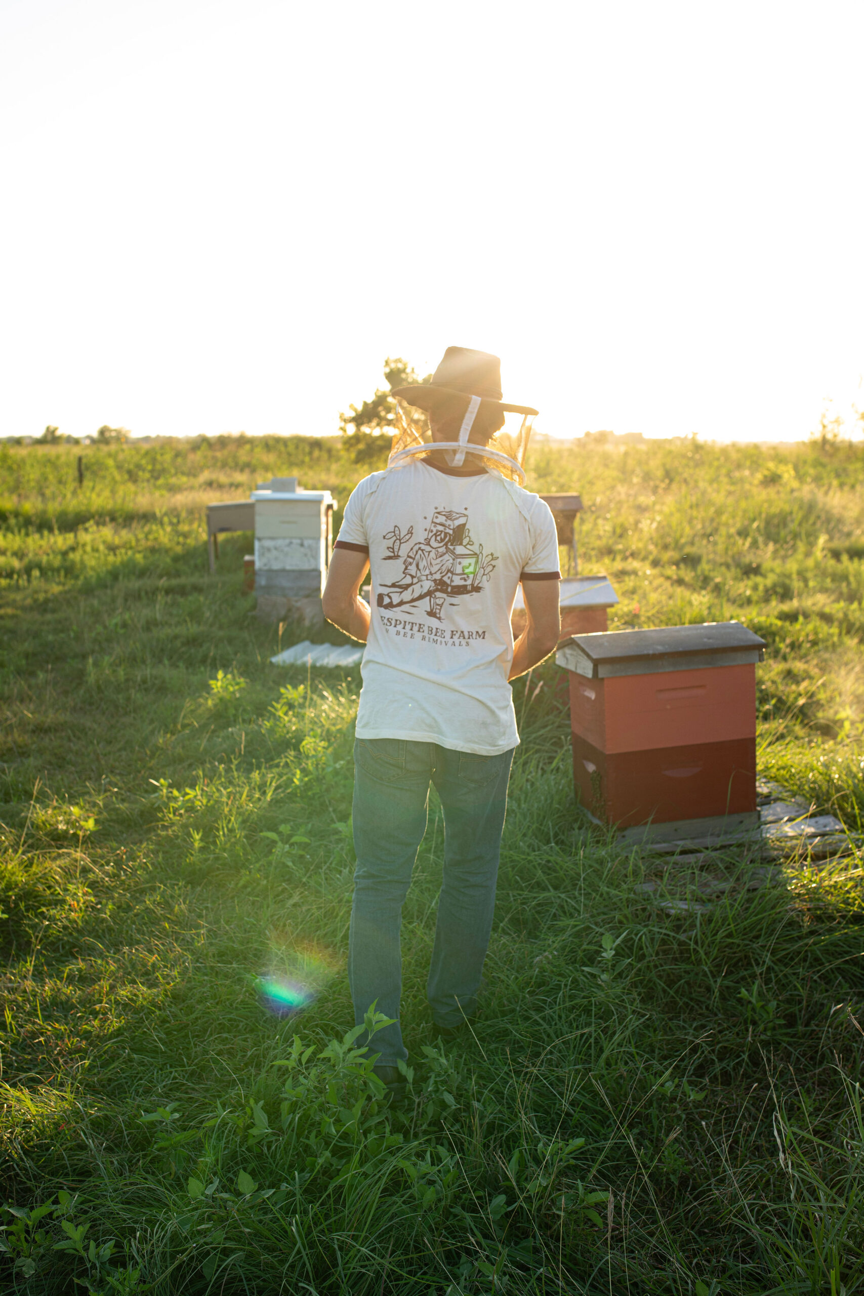 Qualify Your Land in Waco:How Beekeeping Earns the McLennan County Ag Exemption, and How We Help